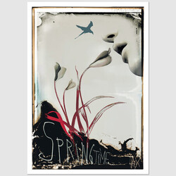 Spring Time, postcard by...