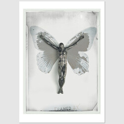 Framed postcard, Jacek Staniszewski
