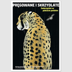 Pręgowane i skrzydlate....