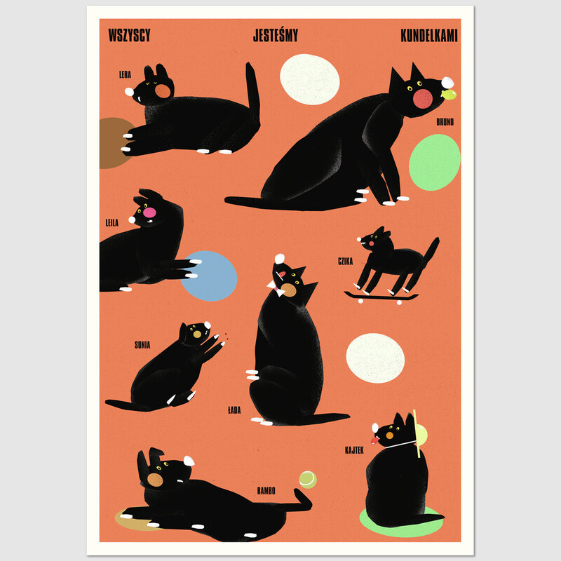 Pocztówka "Wszyscy jesteśmy kundelkami", Jakub Zasada