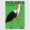 Polska dla bocianów, pocztówka, Jakub Zasada