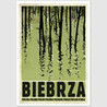 Biebrza postcard, Ryszard Kaja