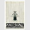 Szczebrzeszyn, postcard by Ryszard Kaja