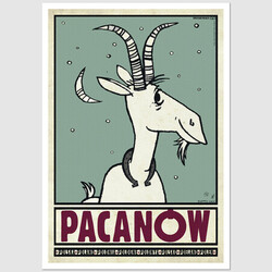 Pacanów, postcard by...