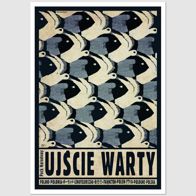 Ujście Warty, postcard by Ryszard Kaja
