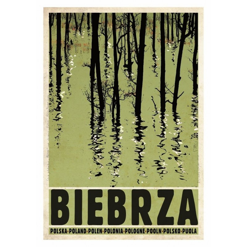 Biebrza, postcard by Ryszard Kaja