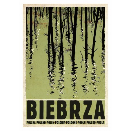 Biebrza, postcard by Ryszard Kaja