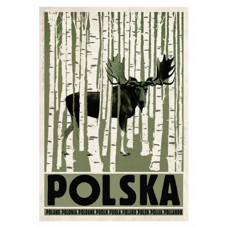 Polska z łosiem, pocztówka, Ryszard Kaja