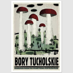 Bory Tucholskie, pocztówka,...