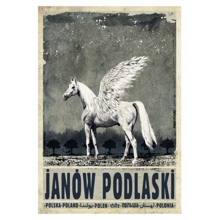 Janów Podlaski, postcard by Ryszard Kaja