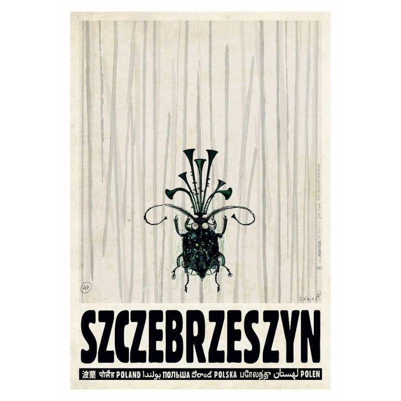 Szczebrzeszyn, postcard by Ryszard Kaja