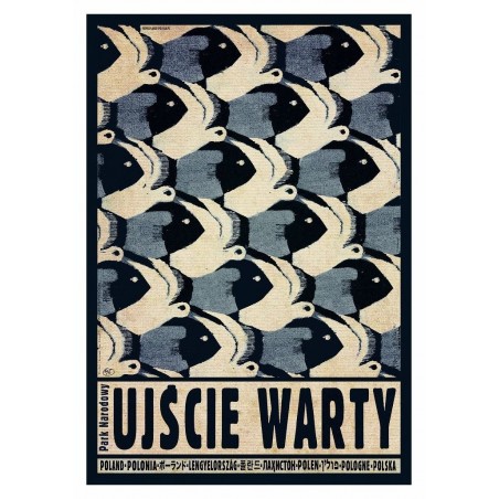 Ujście Warty, postcard by Ryszard Kaja
