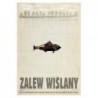 Zalew Wiślany, postcard by Ryszard Kaja