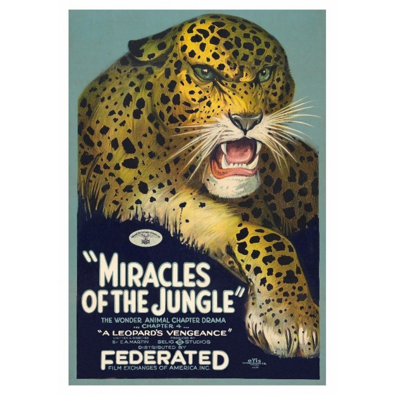 Miracles of the Jungle, postcard
