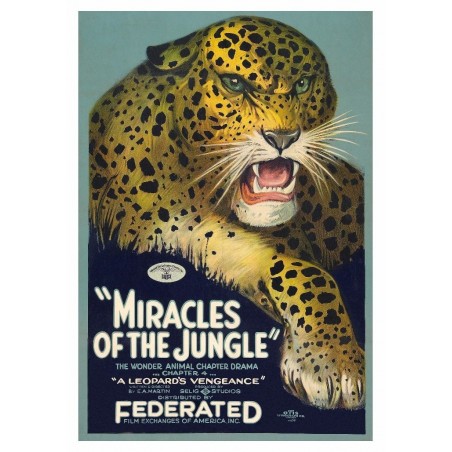 Miracles of the Jungle, pocztówka