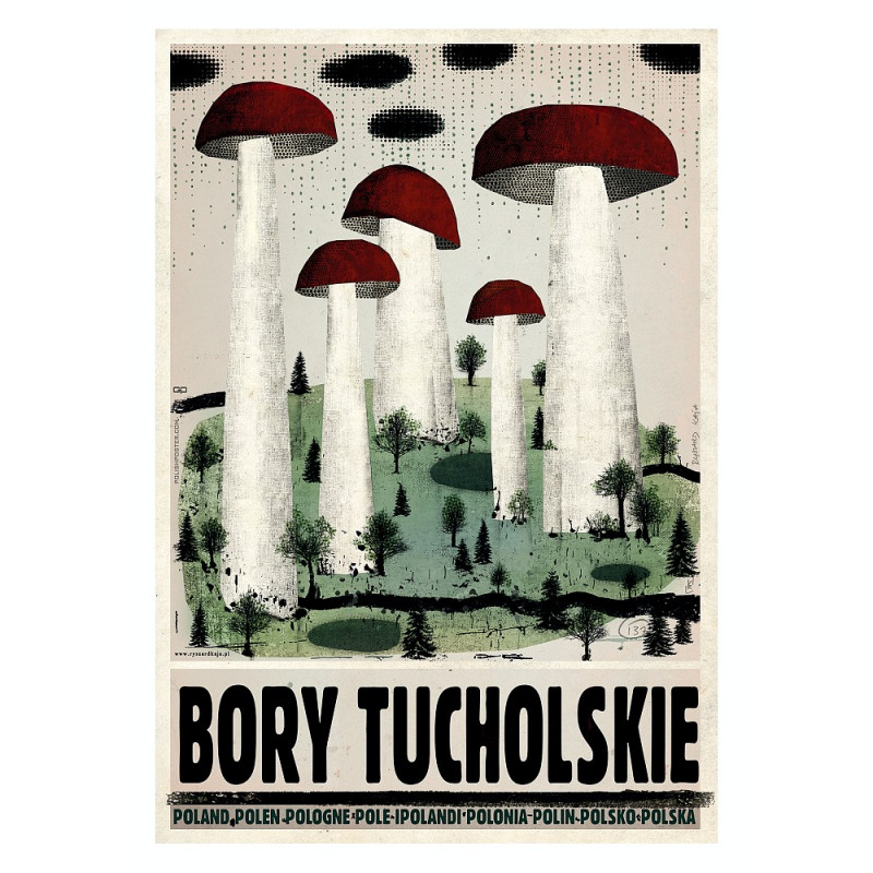 Bory Tucholskie, postcard by Ryszard Kaja