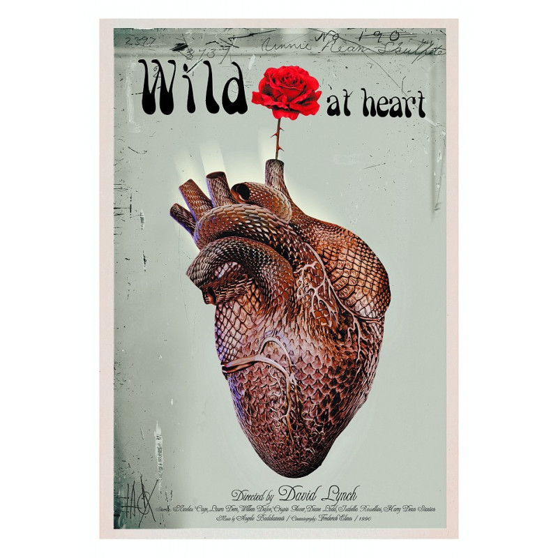 Wild at Heart, Postcard By Jacek Staniszewski
