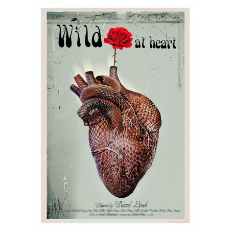 Wild at Heart, Dzikość serca, pocztówka, Jacek Staniszewski