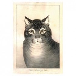 Favorite Cat, postcard by Kellogg