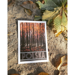 Polska z Zaduszkami, Zaduszki, postcard by Ryszard Kaja