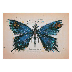 Motyl, pocztówka, Ryszard Kaja