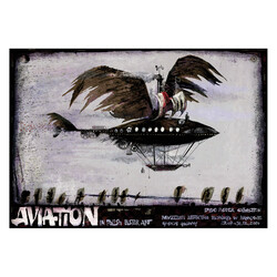 Aviation in Polish Poster...