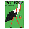 Poland for storks, postcard by Jakub Zasada