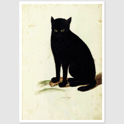Pocztówka Catus Niger, Ulisses Aldrovandi