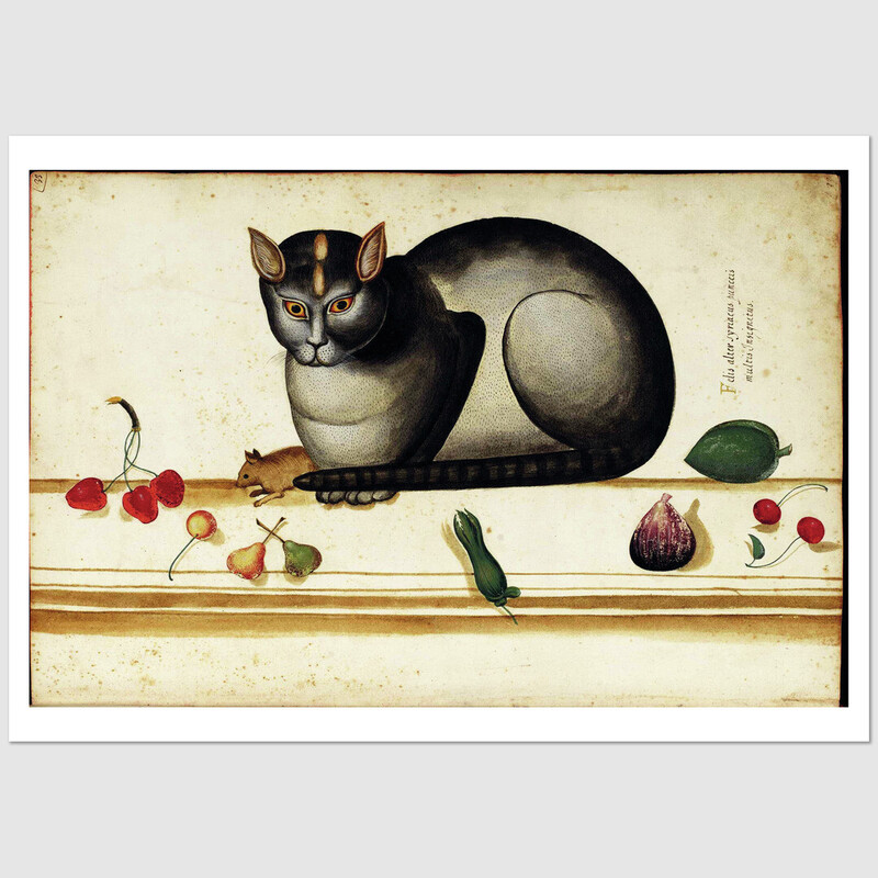 Felis Alter Syriacus postcard, Ulisses Aldrovandi Felis Alter Syriacus postcard, Ulisses Aldrovandi