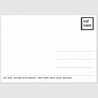 Felis Alter Syriacus postcard, Ulisses Aldrovandi