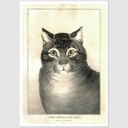 Favorite Cat, postcard by Kellogg